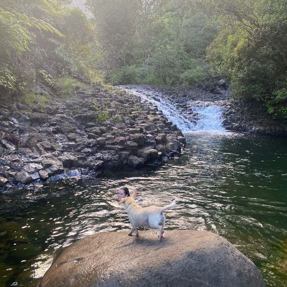 Meet your Posher, Emmy - Picture 9 of 10